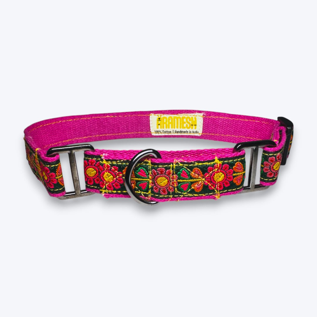 Martingale Dog Collar: Emerald Glow
