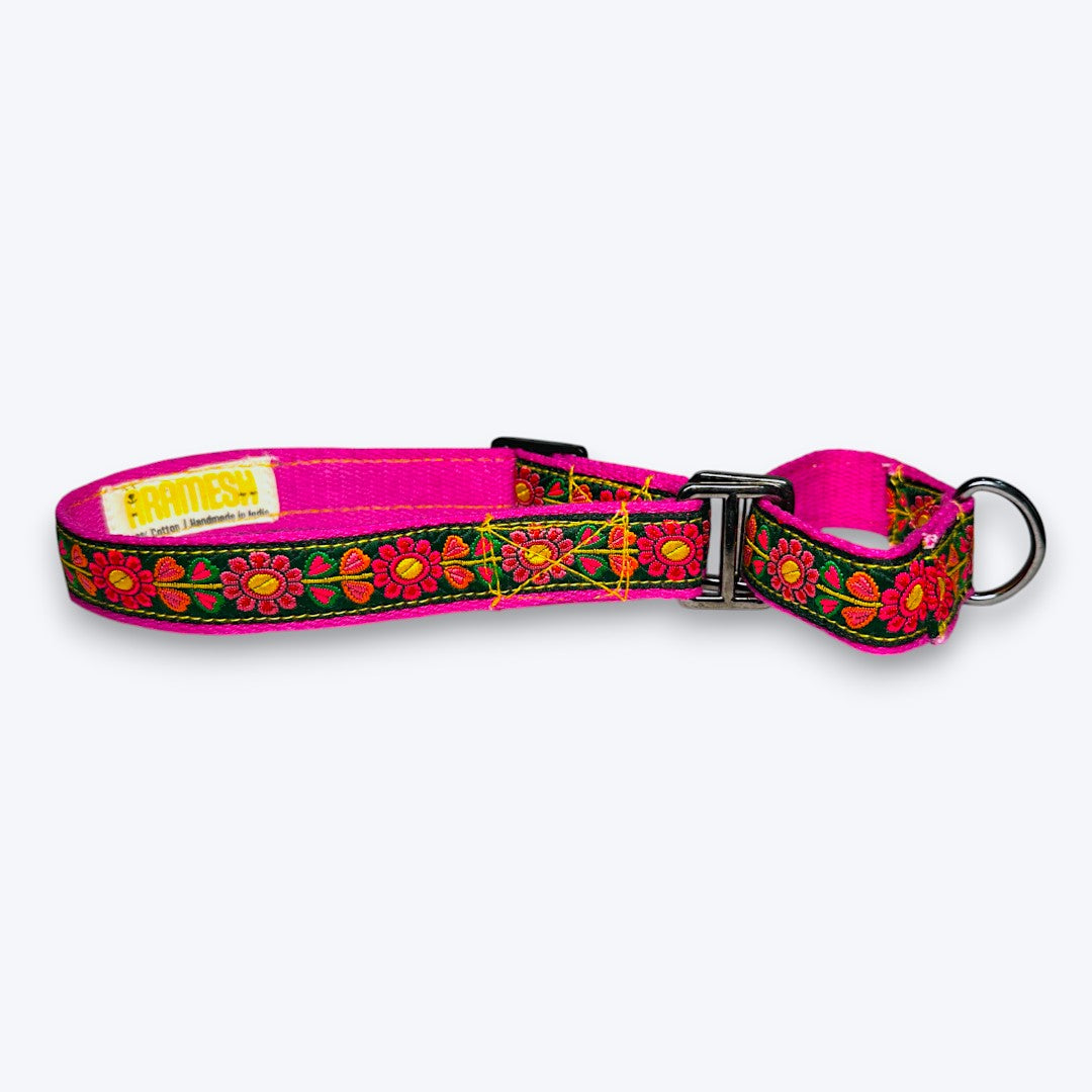 Martingale Dog Collar: Emerald Glow