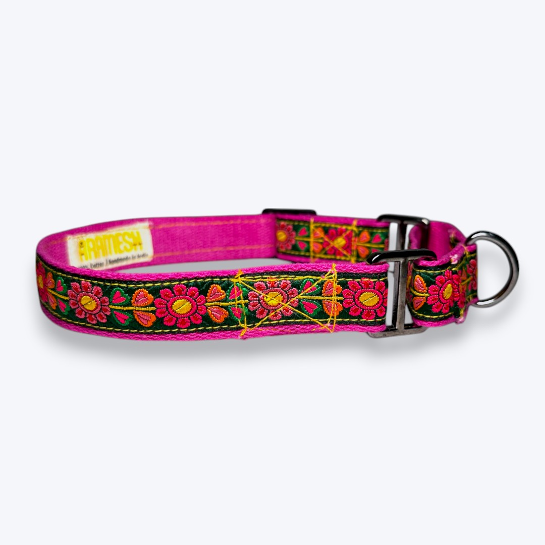 Martingale Dog Collar: Emerald Glow