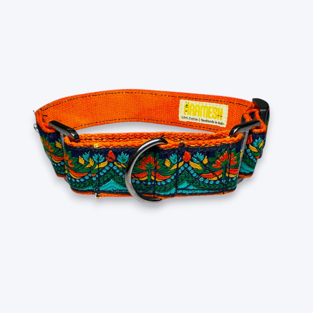 Martingale Dog Collar: Fire & Ice