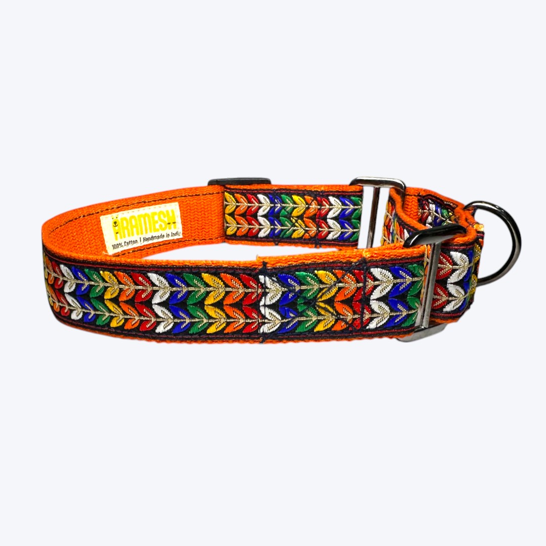 Martingale Dog Collar: Colourful Trails