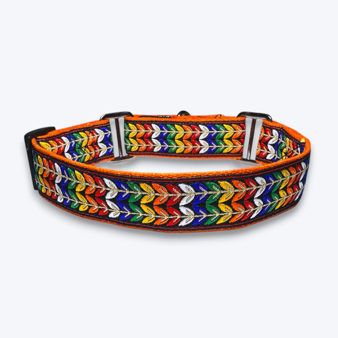 Martingale Dog Collar: Colourful Trails