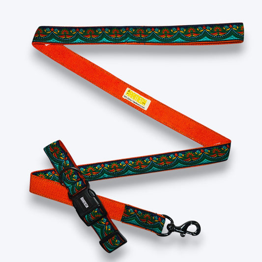 Fire & Ice Dog Collar & Leash