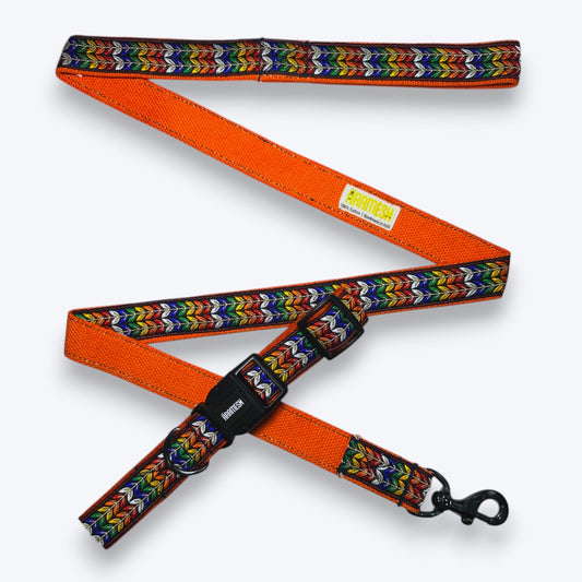 Colourful Trails Dog Collar & Leash