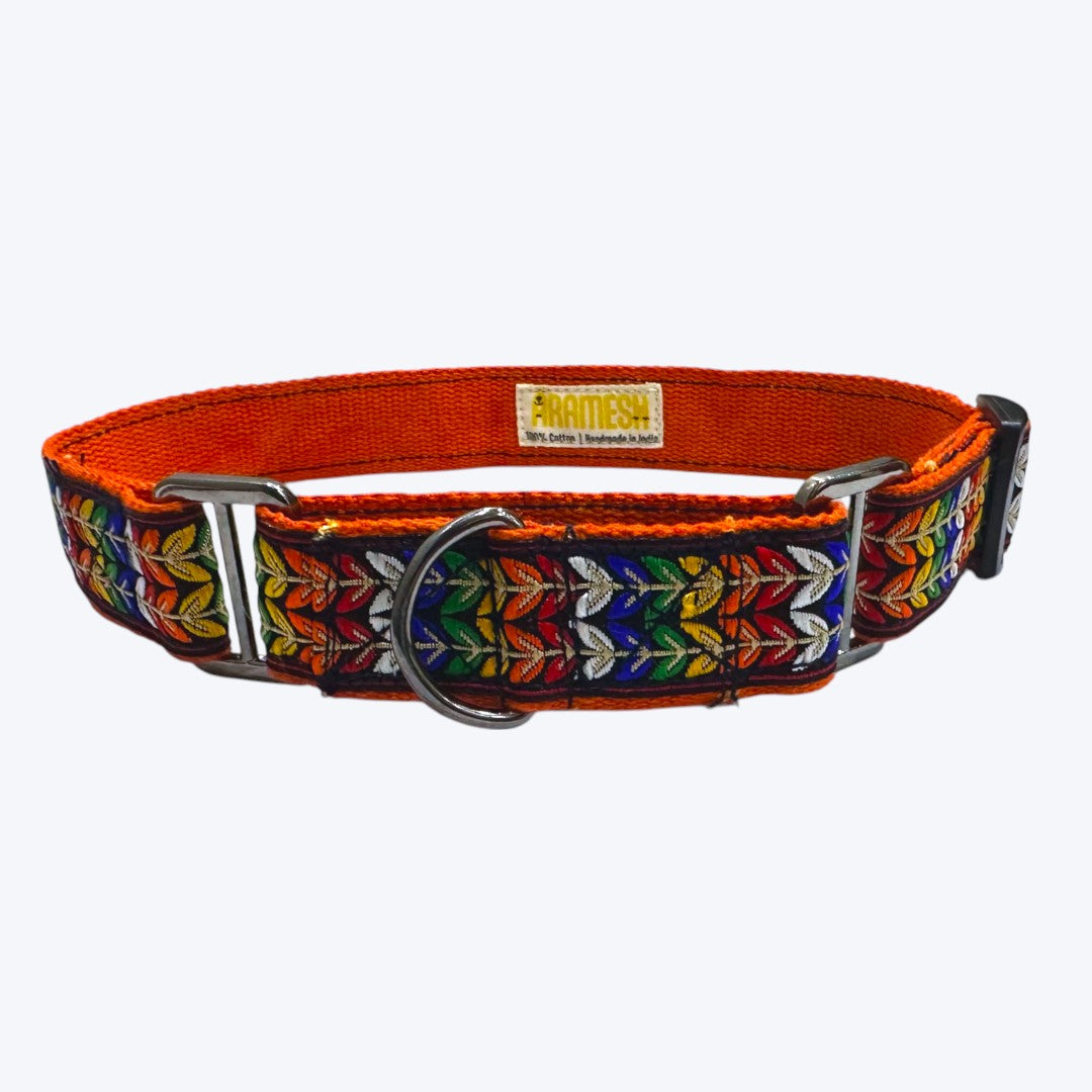 Martingale Dog Collar: Colourful Trails