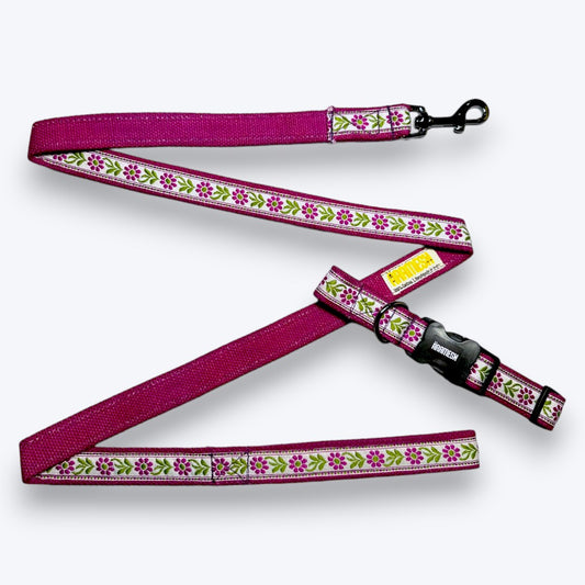 Lavender Sunshine Dog Collar & Leash