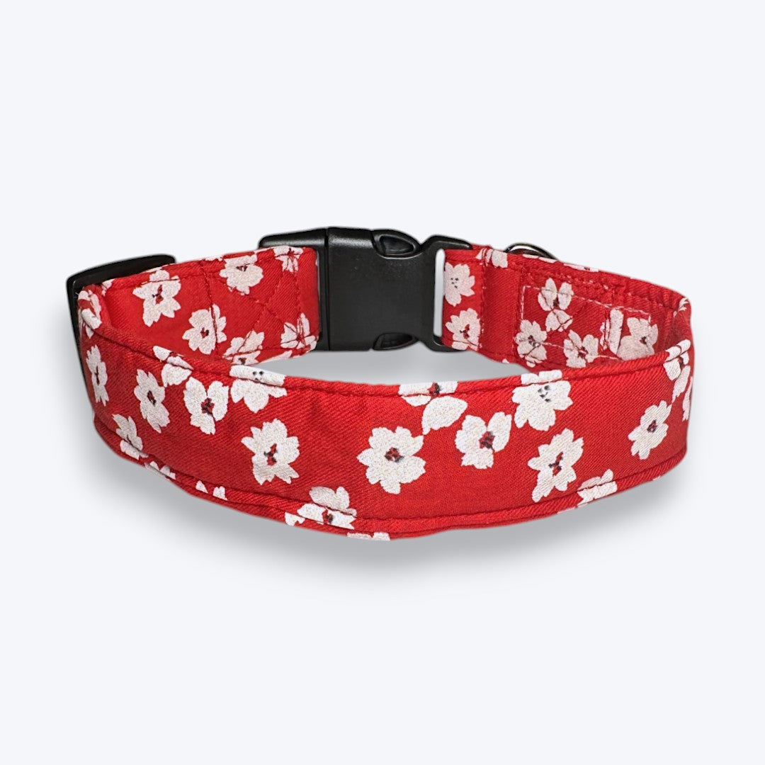 Cherry Blossom Dog Collar