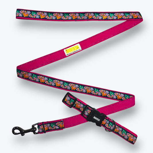 Electric Bloom Dog Collar & Leash
