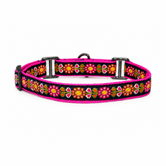 Martingale Dog Collar: Jugnu