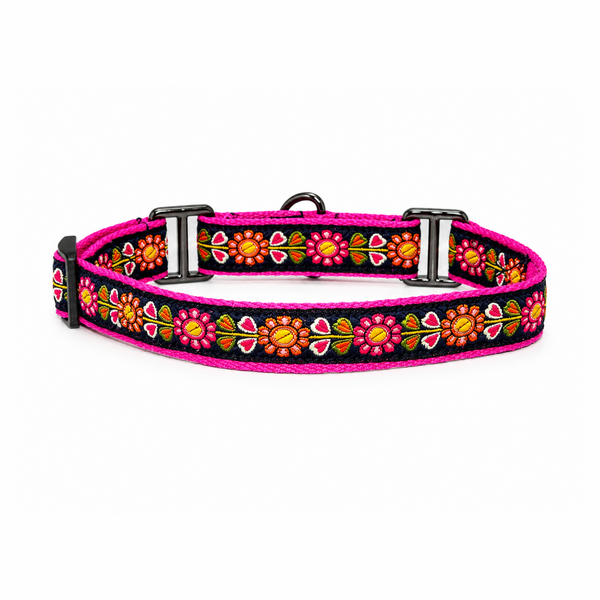 Martingale Dog Collar: Jugnu