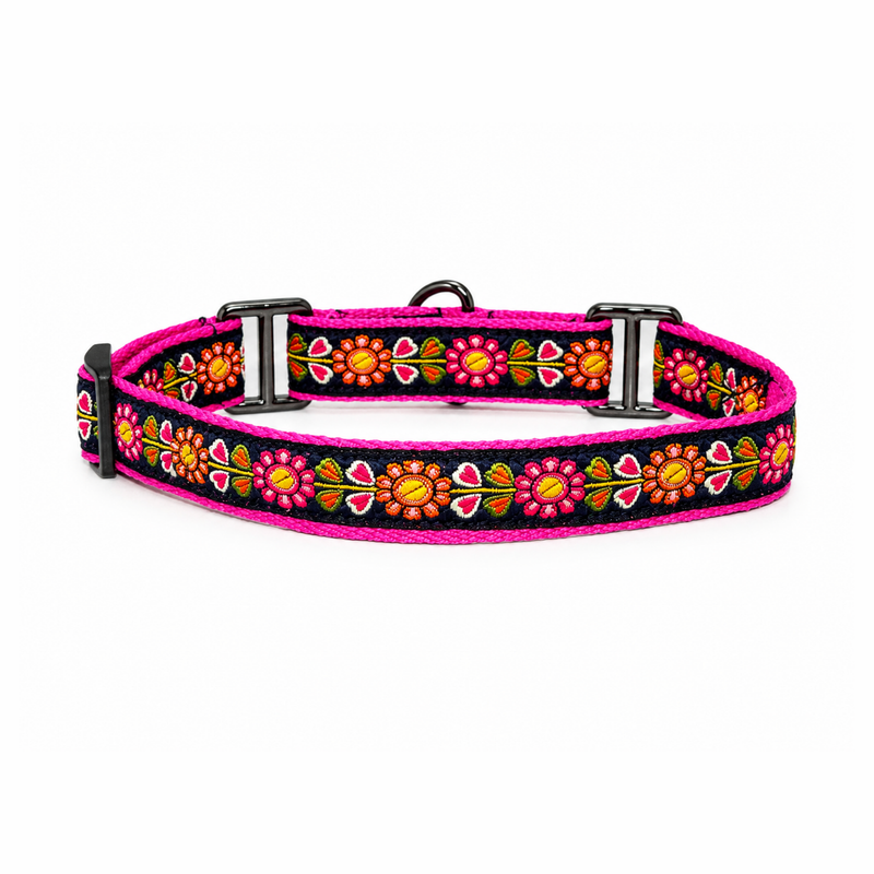 Martingale Dog Collar: Jugnu