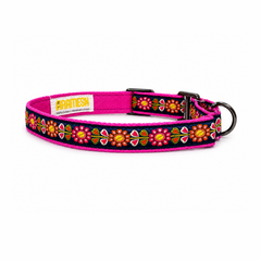 Martingale Dog Collar: Jugnu