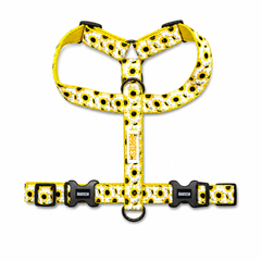 Sunny Days Body Belt