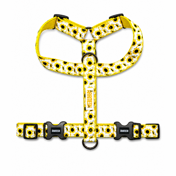 Sunny Days Body Belt