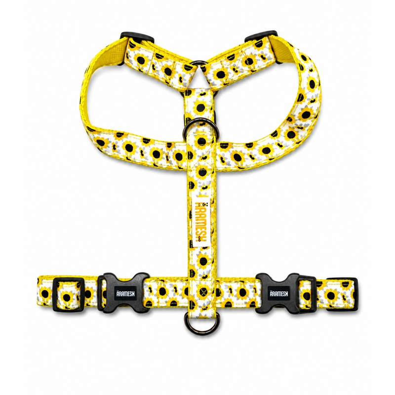 Sunny Days Body Belt