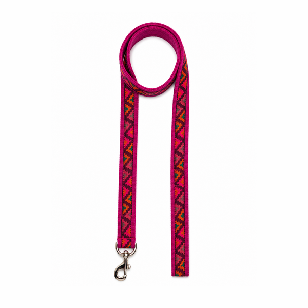 Gulaal Dog Collar & Leash