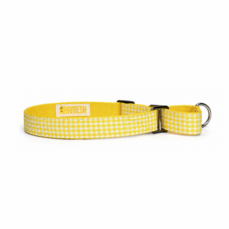 Martingale Dog Collar: Lemonade