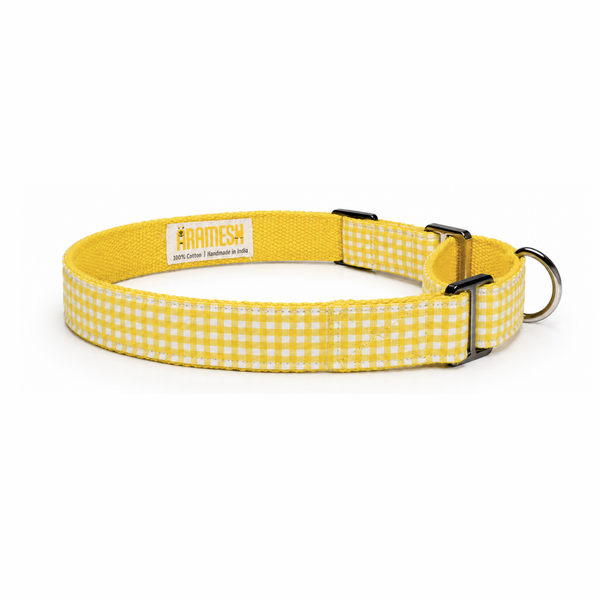 Martingale Dog Collar: Lemonade