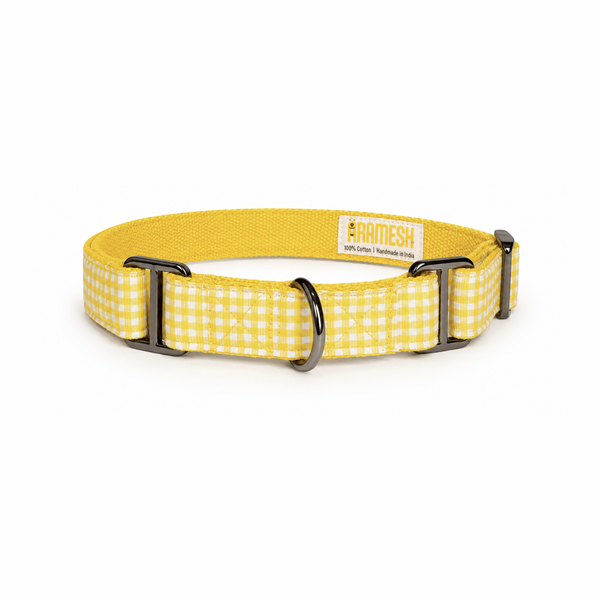 Martingale Dog Collar: Lemonade