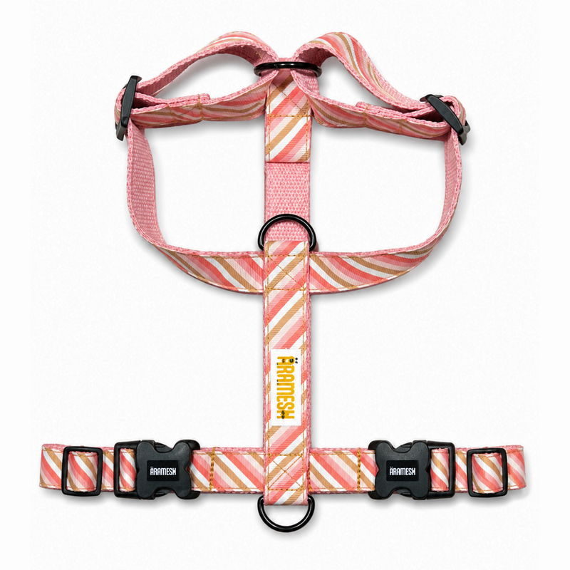 Blush Body Belt