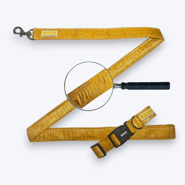 Marigold Festive Dog Collar & Leash