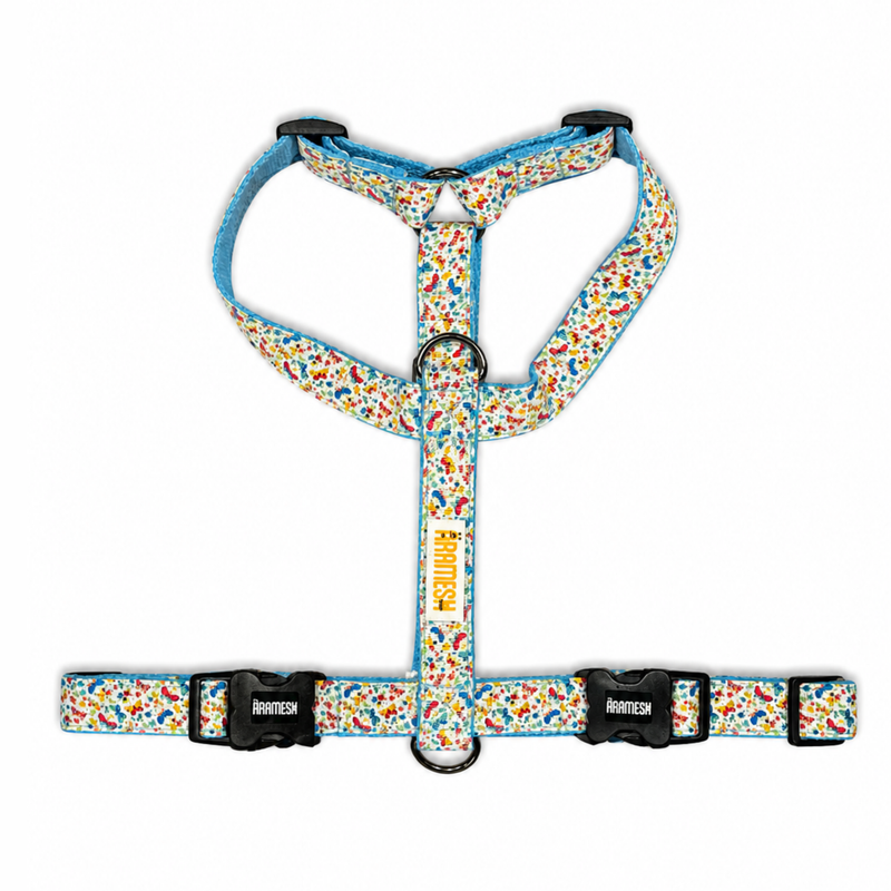 Dancing Wings Body Belt
