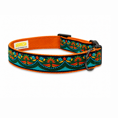 Fire & Ice Dog Collar
