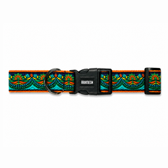 Fire & Ice Dog Collar & Leash