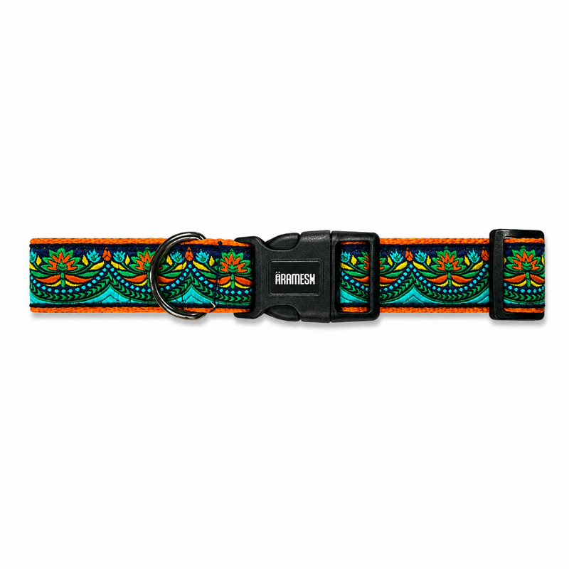 Fire & Ice Dog Collar & Leash