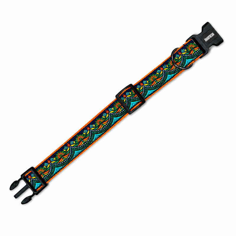 Fire & Ice Dog Collar