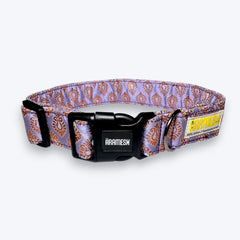 Royal Haze Festive Dog Collar