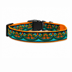 Fire & Ice Dog Collar & Leash