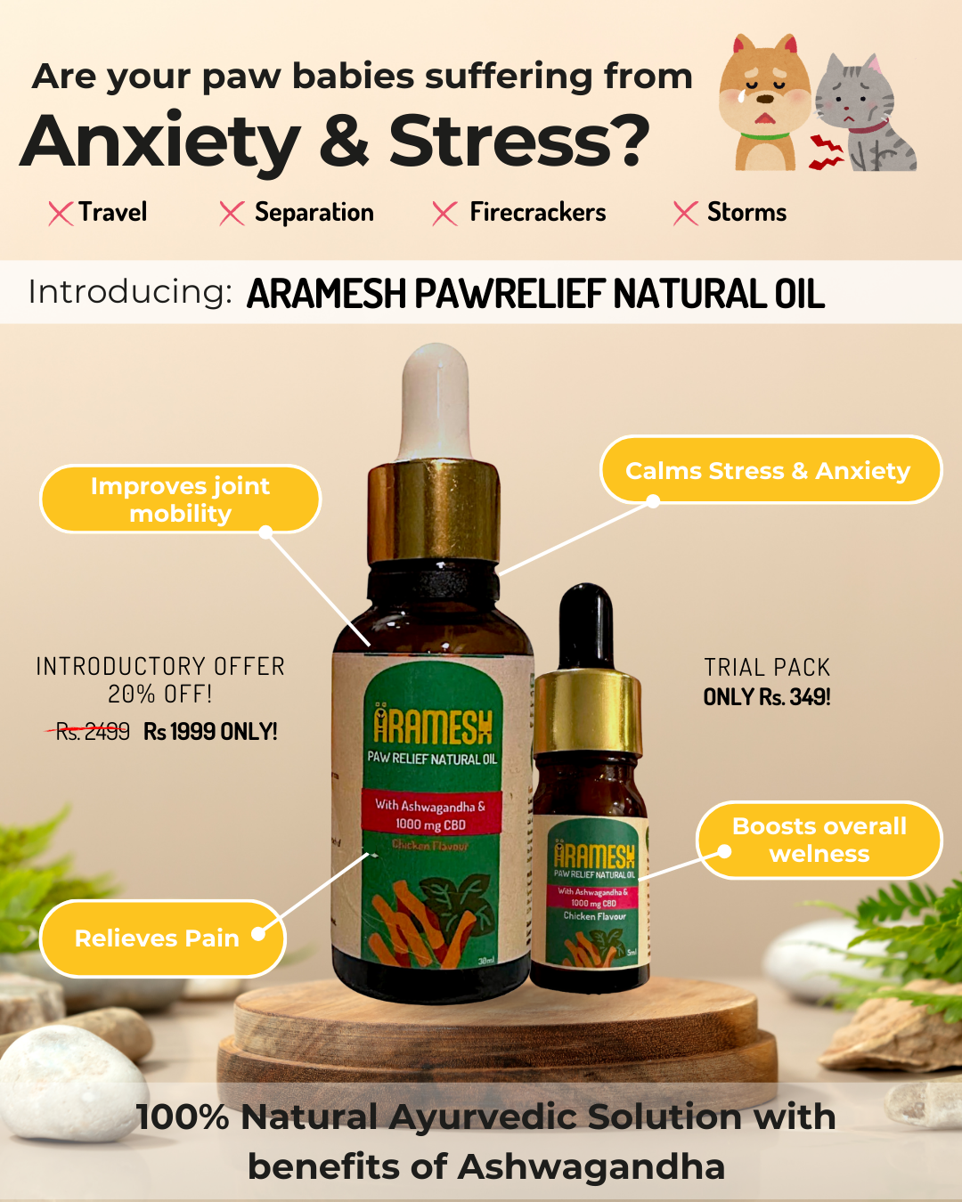 Arush Ramesh Aramesh PawRelief Natural Oil