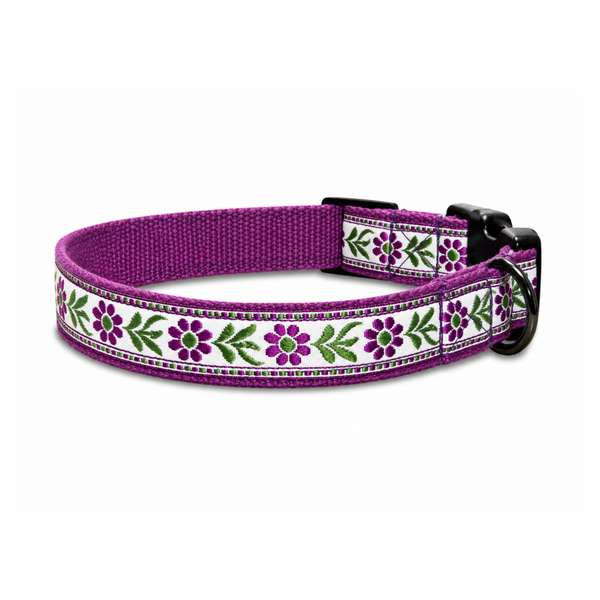 Lavender Sunshine Dog Collar