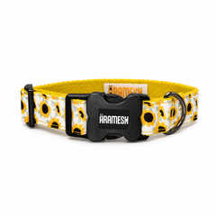 Sunny Days Dog Collar & Leash
