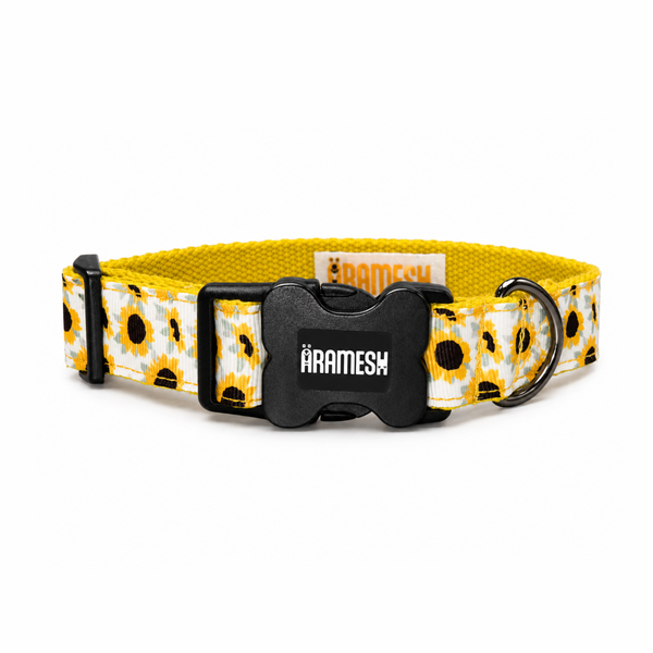 Sunny Days Cotton Dog Collar