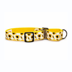 Martingale Dog Collar: Sunny Days