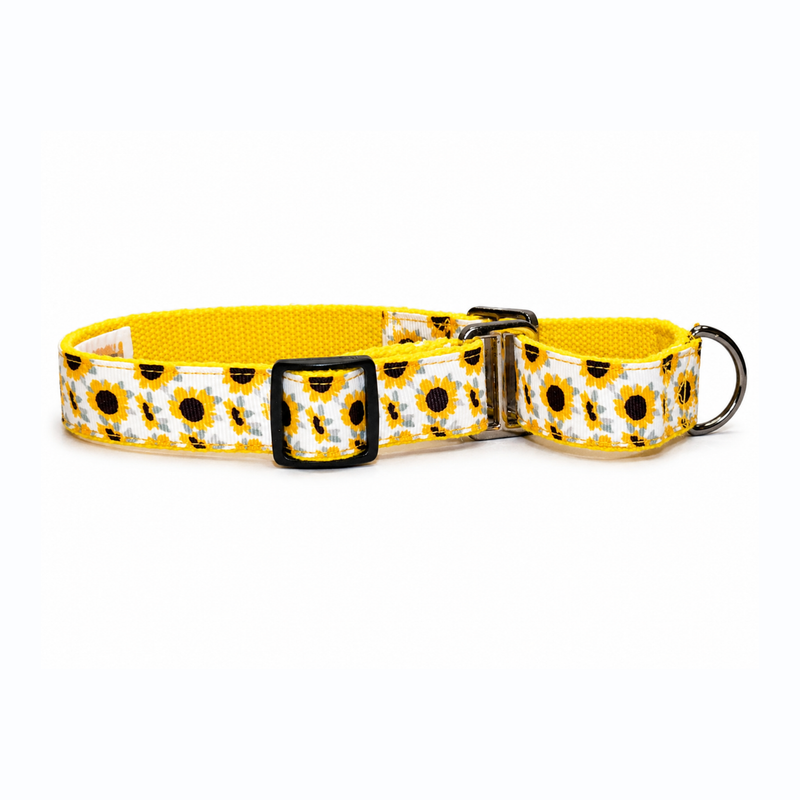Martingale Dog Collar: Sunny Days