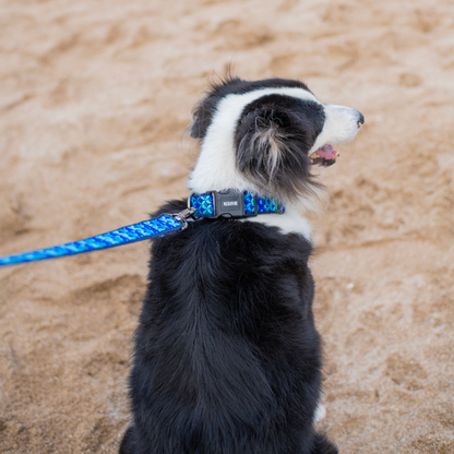 Skywave Dog Leash