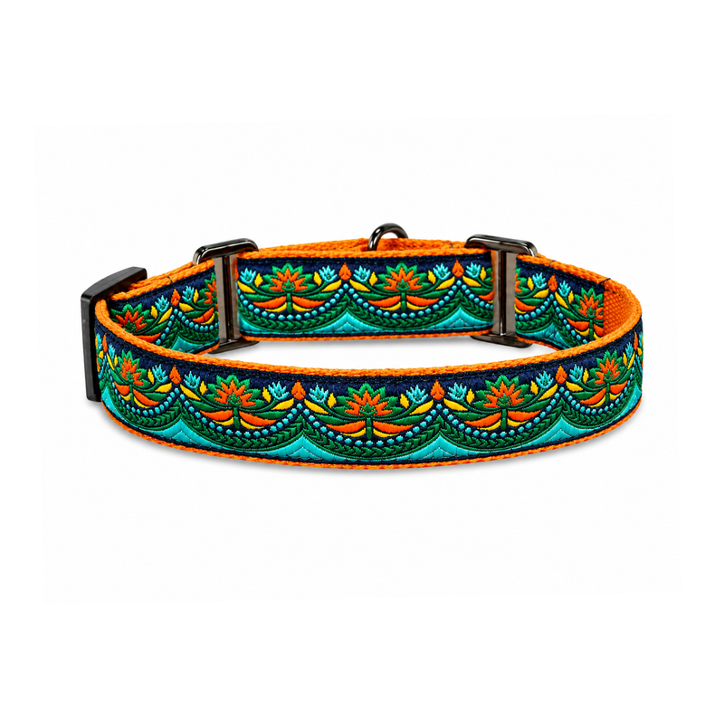 Martingale Collar + Leash