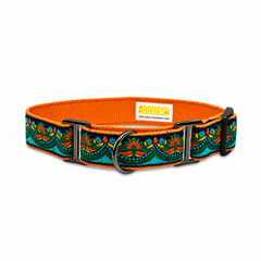 Martingale Collar + Leash