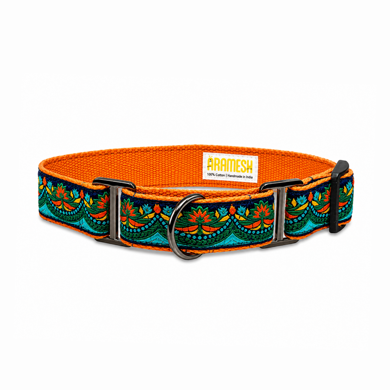 Martingale Collar + Leash