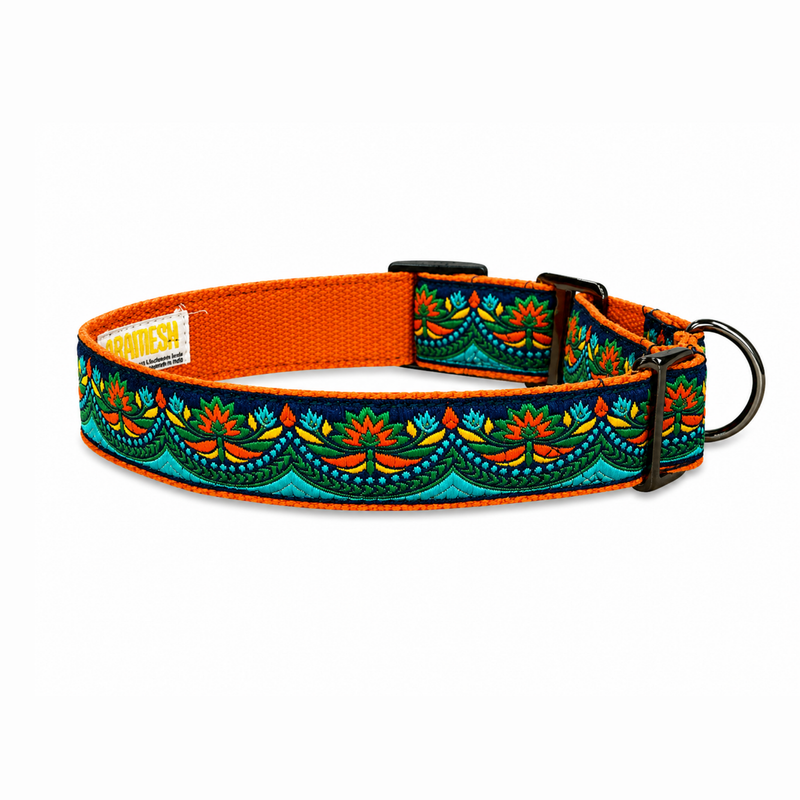 Martingale Dog Collar: Fire & Ice