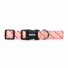 Blush Cotton Dog Collar