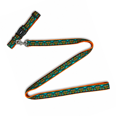 Martingale Collar + Leash