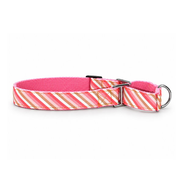 Martingale Dog Collar: Blush