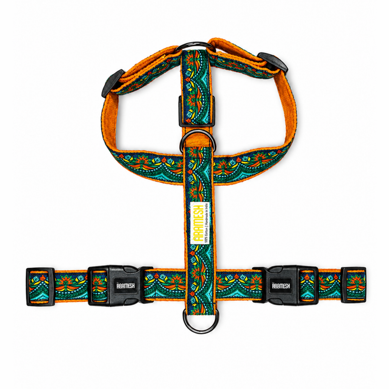 Fire & Ice Body Belt