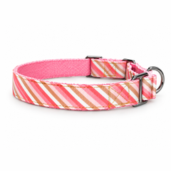 Martingale Dog Collar: Blush