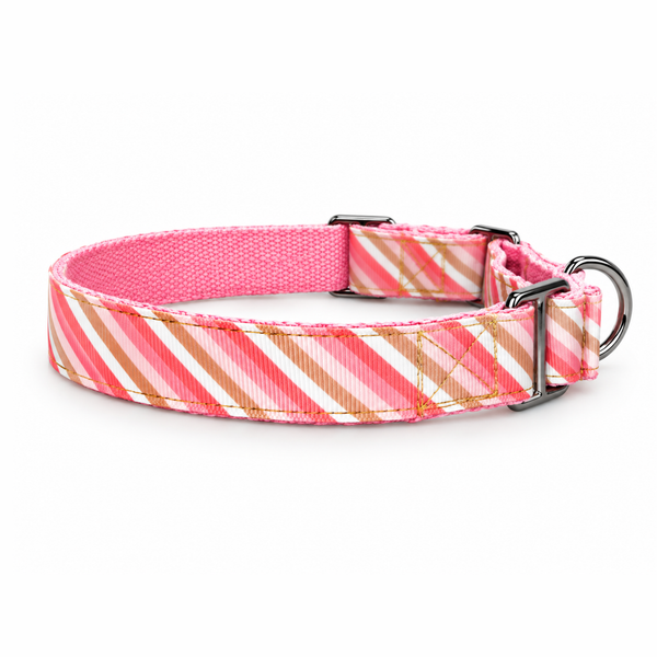 Martingale Dog Collar: Blush