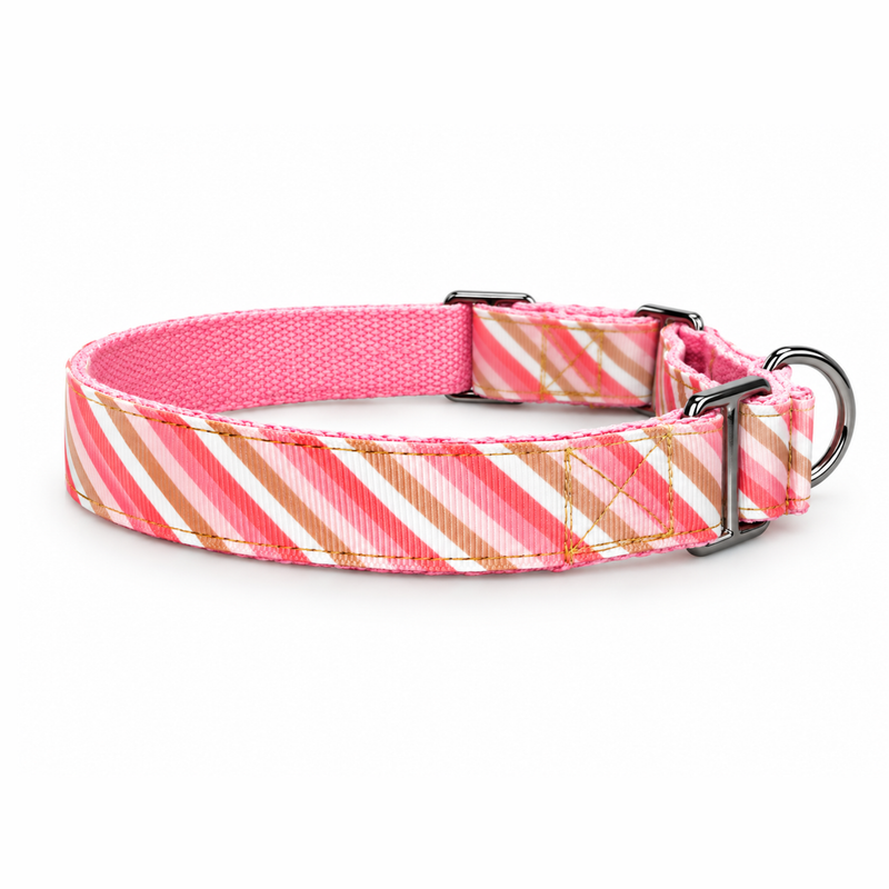Martingale Dog Collar: Blush